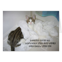 LOL Cat card