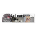 Lol Cats bumper stickers by Krynftw Lol Cats bumper stickers