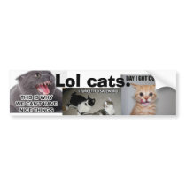Lol Cats bumper stickers