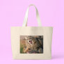 LOL Maine Coon