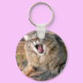 LOL Maine Coon