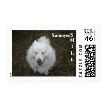 LOL POSTAGE STAMP
