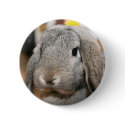 Lola Button by Lola121625 Lola Button