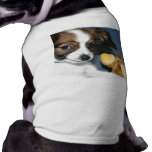 Lola Papillon Pup Pet Clothes