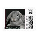 Lola Reclines postage by Lola121625 Lola Reclines postage