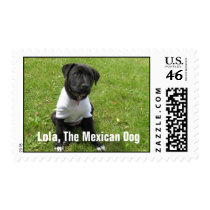 Lola - The Mexican Dog stamps