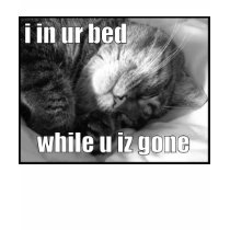 LOLCat 1 t-shirts
