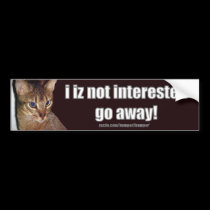 LOLCat 3 Bumpersticker bumper stickers