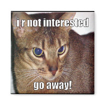 LOLCat 3 magnets by MagnetMadness LOLCat 3 magnets