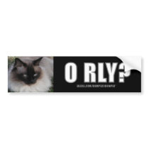 LOLCat 4 bumpersticker by bumper2bumper LOLCat 4 bumpersticker