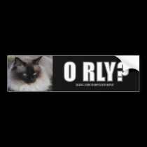 LOLCat 4 bumpersticker bumper stickers