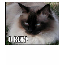 LOLCat 4 t-shirts