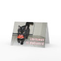 lolcat Christmas Card