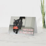 lolcat Christmas Card