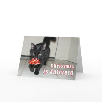lolcat Christmas Card by junipergrove lolcat Christmas Card