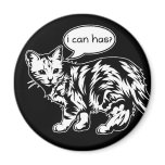 lolcat - i can has? magnets