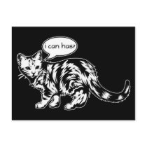 lolcat - i can has? postcards by strk3 lolcat - i can has? postcards