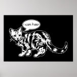 lolcat - i can has? posters