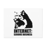 lolcat the internet is serious business postcards