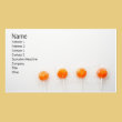 Lollipop Profile Card Business Cards