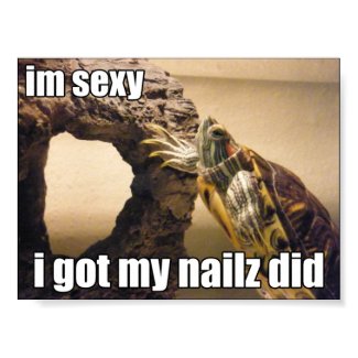 LOLturtle - got my nailz did print