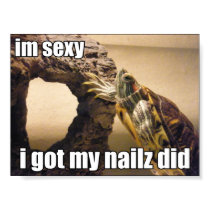 LOLturtle - got my nailz did posters