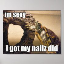 LOLturtle - got my nailz did Poster