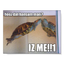 LOLturtle - hansum man posters