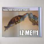 LOLturtle - hansum man posters