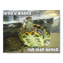 LOLturtle - rub mah belleh posters