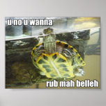 LOLturtle - rub mah belleh posters