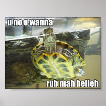 LOLturtle - rub mah belleh Poster