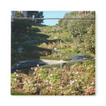 Lombard St. Magnet