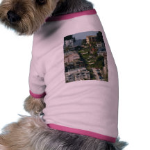 Lombard Street In San Francisco Americas Crookedes Pet Shirt
