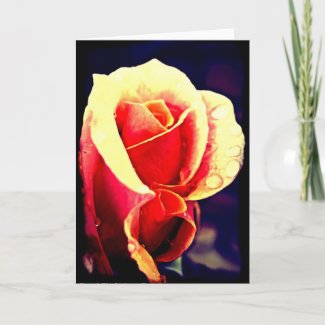 Lomo Rose Card card