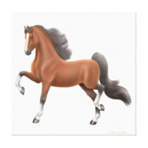 Lona envuelta caballo de Saddlebred Gaited del ame Lona Estirada Galerías