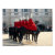 london, vacation, photo, picture