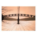 LONDON eye photoenlargement