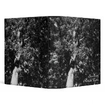 London Plane Tree binders