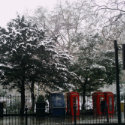 London Red Phone Boxes in the Snow Print Posters print
