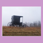 Lone Amish Buggy in Misty Meadow postcards