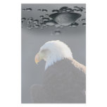 Lone Bald Eagle stationery