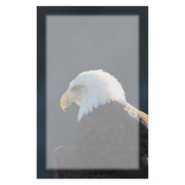 Lone Bald Eagle Stationery
