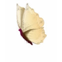 Lone Beige Butterfly T-Shirt by Lotacats Lone Beige Butterfly T-Shirt