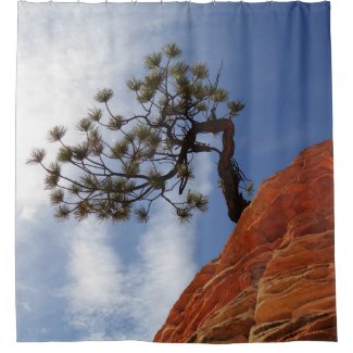 Lone Bonsai Tree Sky Zion Natl Park Shower Curtain