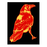 Lone Crow Illustration Post Card