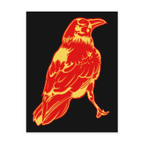 Lone Crow Illustration postcards