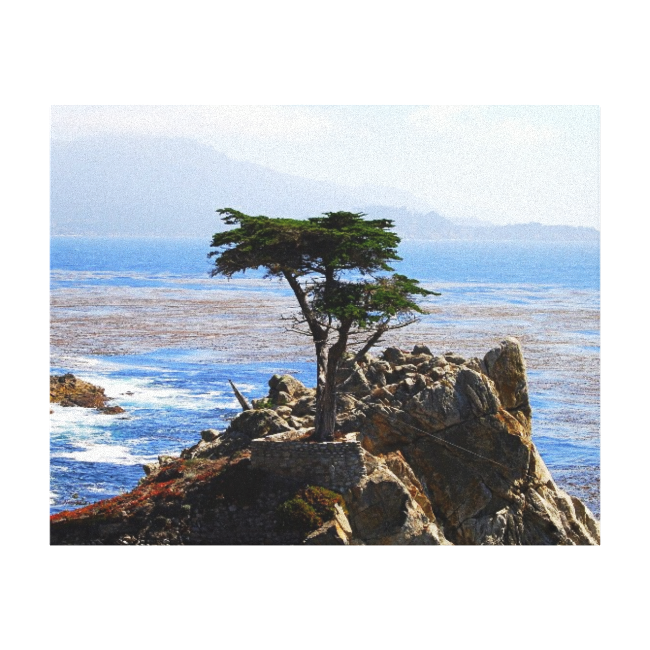 Lone Cypress, Monterey, California Gallery Wrapped Canvas Lone Cypress, Monterey, California Gallery Wrapped Canvas