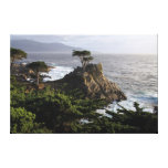 Lone Cypress - stretched canvas print canvas prints
