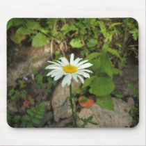 Lone Daisy mousepads